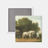 Aimant George Stubbs | A Phaeton with a Pair of Cream (Recto/Verso)