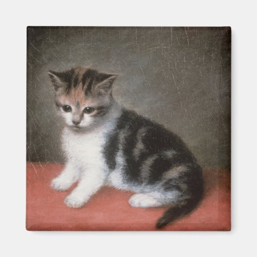 Aimant George Stubbs | Miss Ann White's Kitten, 1790 (Devant)