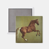 Aimant George Stubbs | Whistlejacket, 1762 (Recto/Verso)