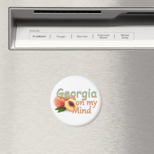 AIMANT GÉORGIE (In Situ (Lave-vaisselle))