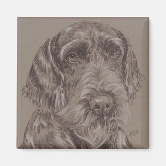 Aimant Ger. Pointeur à fil