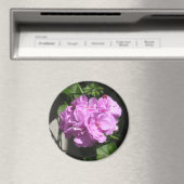 Aimant Géranium d'ivoire rose (In Situ (Lave-vaisselle))