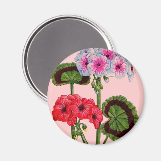Aimant géraniums (Recto/Verso)