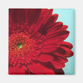 Aimant gerber (Devant)