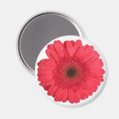Aimant Gerber Daisy (Recto/Verso)