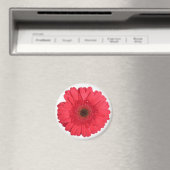 Aimant Gerber Daisy (In Situ (Lave-vaisselle))