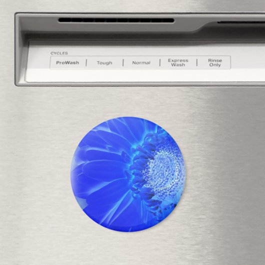 Aimant gerbera bleu électrique (In Situ (Lave-vaisselle))