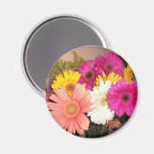 Aimant Gerbera Daisies (Recto/Verso)