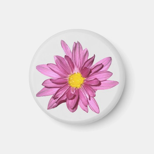 Aimant Gerbera violet clair (Devant)