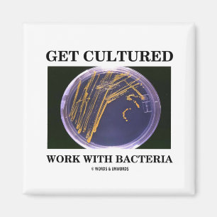 Aimant Get Cultured Work With Bacteria