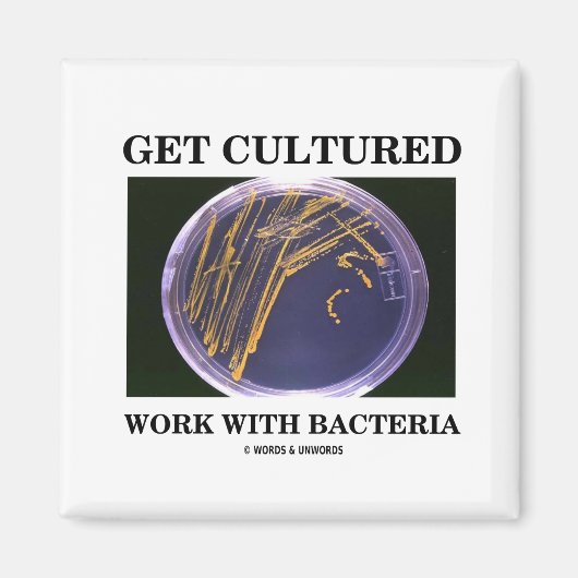 Aimant Get Cultured Work With Bacteria (Devant)