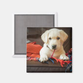 Aimant Getty Images | Puppy On A Sofa (Recto/Verso)