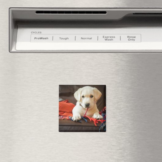 Aimant Getty Images | Puppy On A Sofa (In Situ (Lave-vaisselle))