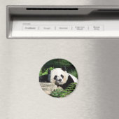 Aimant Giant Panda Napping (In Situ (Lave-vaisselle))
