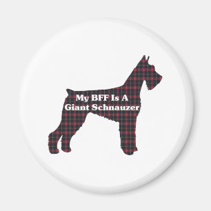 Aimant Giant Schnauzer BFF