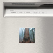 Aimant Giant Sequoia Tree in Grant Grove, CA (In Situ (Lave-vaisselle))