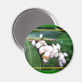 Aimant Gingembre de coque Magnet-Hawaii (Recto/Verso)