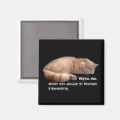 Aimant Gingembre Dormir Chat Funny Wake Me Citation (Recto/Verso)