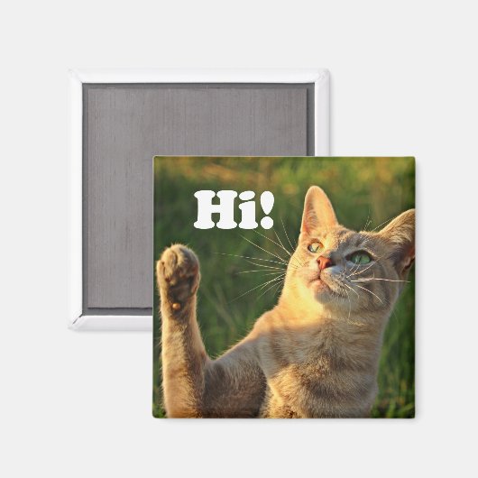 Aimant Ginger Cat Dit Bonjour ! (Recto/Verso)