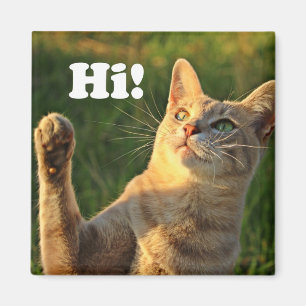 Aimant Ginger Cat Dit Bonjour !