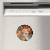 Aimant Ginger Tabby Kitty Chat (In Situ (Lave-vaisselle))