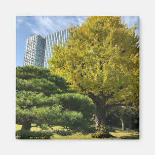 Aimant Ginkgo jaune doré et pin