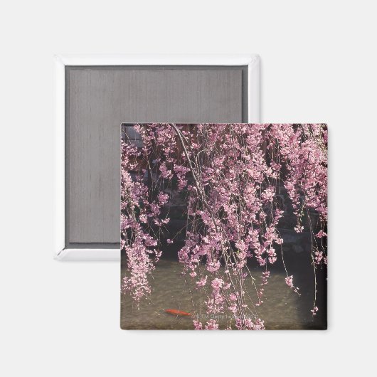 Aimant Gion, préfecture de Kyoto, Japon (Recto/Verso)