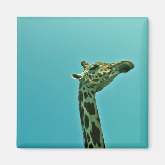Aimant girafe (Devant)
