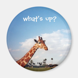 Aimant girafe