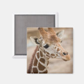 Aimant girafe (Recto/Verso)