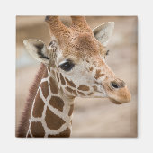 Aimant girafe (Devant)