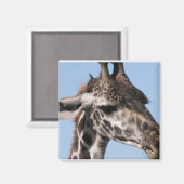 aimant girafe (Recto/Verso)