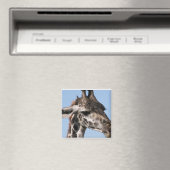 aimant girafe (In Situ (Lave-vaisselle))