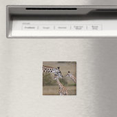 Aimant Girafe maasaï (Giraffa tippelskirchi) (In Situ (Lave-vaisselle))