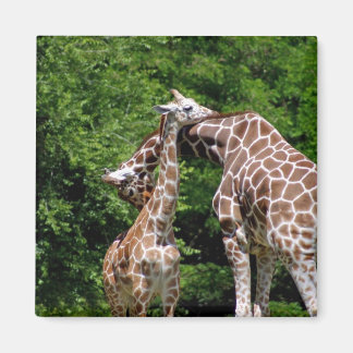 Aimant girafe se serrer dans ses bras