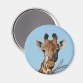 Aimant Giraffe (Recto/Verso)