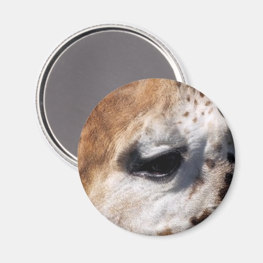 AIMANT GIRAFFE (Recto/Verso)