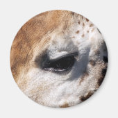 AIMANT GIRAFFE (Devant)