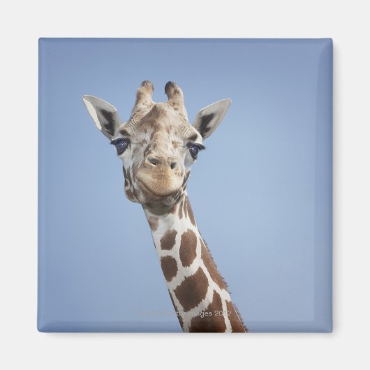 Aimant Giraffe 2 (Devant)