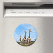 Aimant Giraffe Famille Sur Le Sommet De Grassy (In Situ (Lave-vaisselle))