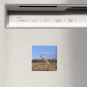 Aimant Giraffe réticulée (In Situ (Lave-vaisselle))