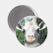 Aimant Giraffe souriante (Recto/Verso)