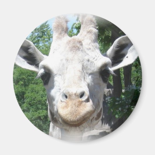 Aimant Giraffe souriante (Devant)