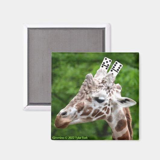 Aimant Giromino (Recto/Verso)