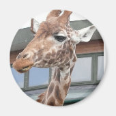 Aimant Girraffe (Devant)