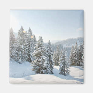 Aimant Glace et neige Allgäu Bavaria Allemagne du sud