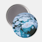 Aimant Glace et neige | Ours polaire, Océan Arctique, Sva (Recto/Verso)