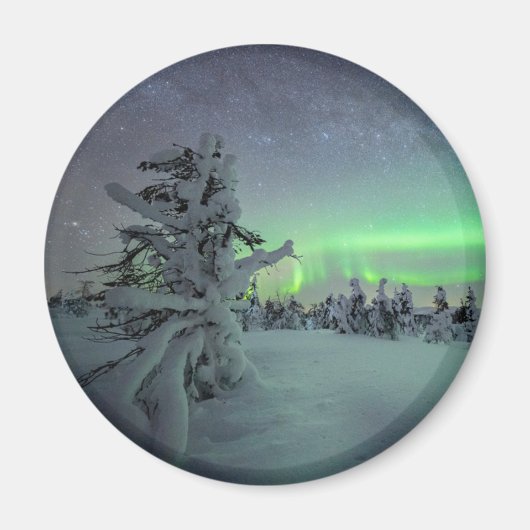 Aimant Glace et neige | Parc national de Pallas-Yllastunt (Devant)