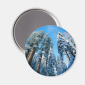 Aimant Glace et neige | Parc national de Sequoia, Califor (Recto/Verso)