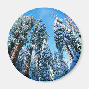 Aimant Glace et neige Parc national de Sequoia, Califor